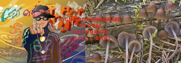 кокс Верея