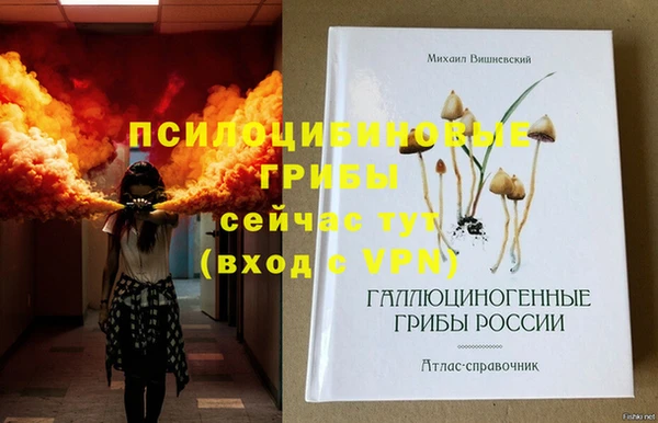 стафф Верхний Тагил